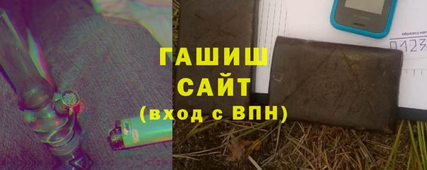 стаф Гусев