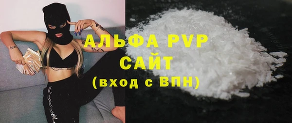 стаф Гусев