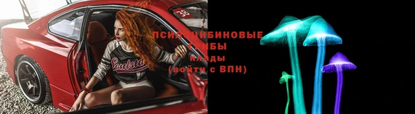 стаф Гусев